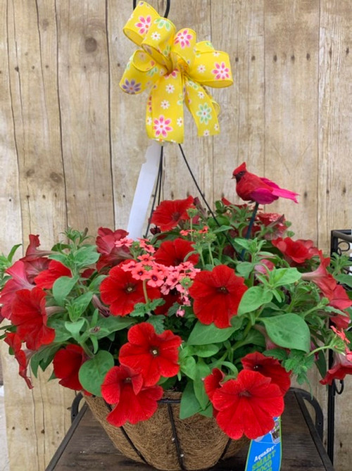 Moss Hanging Basket