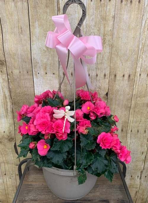 2 Decorated Hanging Baskets