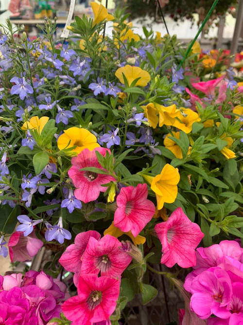 Decorated Planter