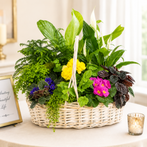 Grande European dish garden basket with assorted green and blooming plants for sympathy occasions