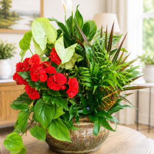 Premium sympathy plant garden in decorative pottery available for local delivery in Gilbertsville, PA