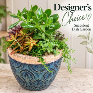 Grande Succulent Planter