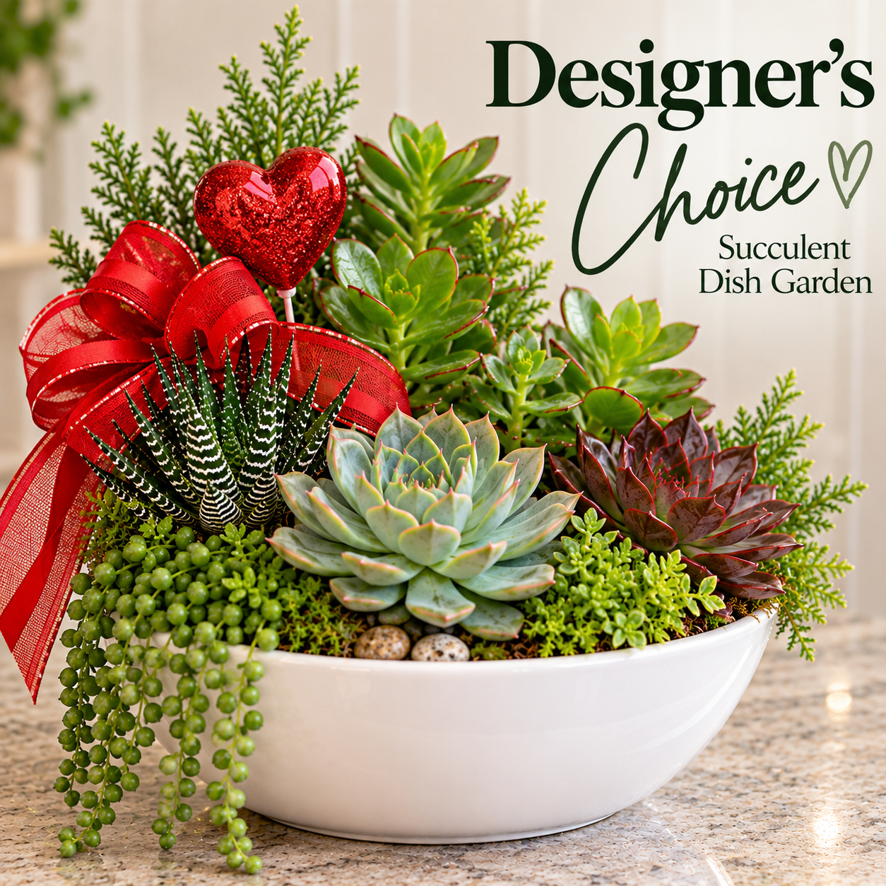 Grande Succulent Planter- Valentine