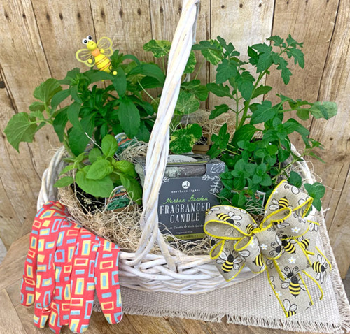 Vegetable and Herb Gardens